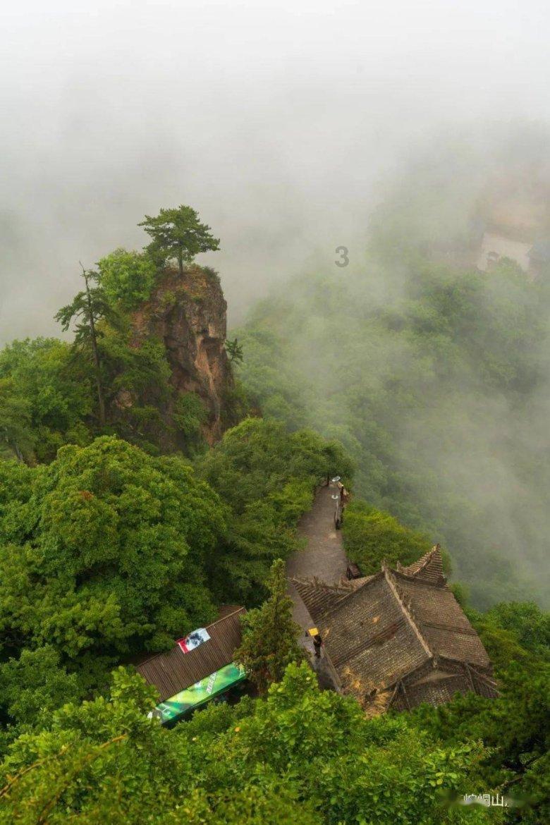 终于回归!克雷桑24日凌晨抵达海口,归队即参加泰山队训练